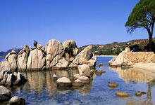 上海后花园邂逅，感受浪漫气息